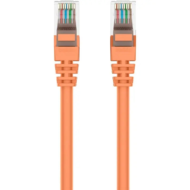 Belkin Cat5e Patch Cable - GreatEagleInc