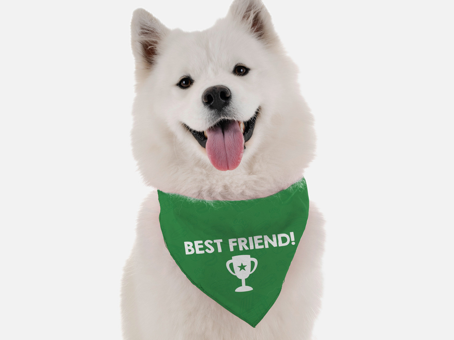 Best Friend Bandoggies