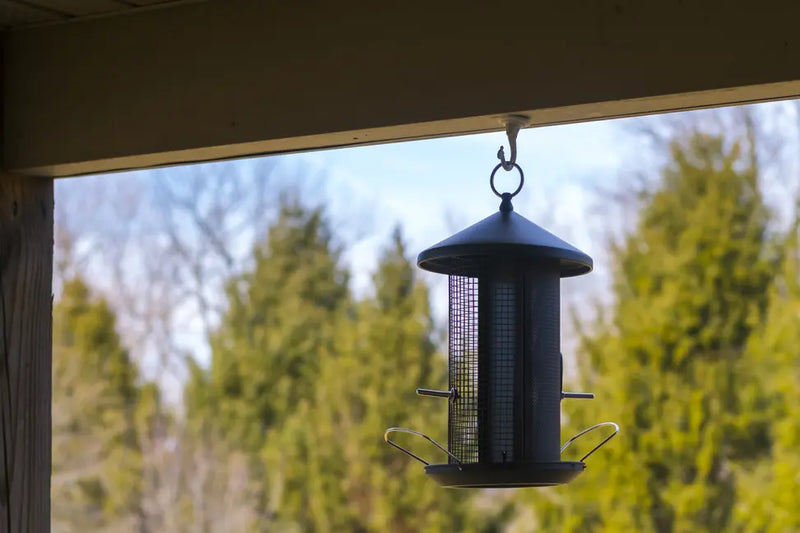 BirdFeeder Metal Dual Nut and Seed Dicksons Inc