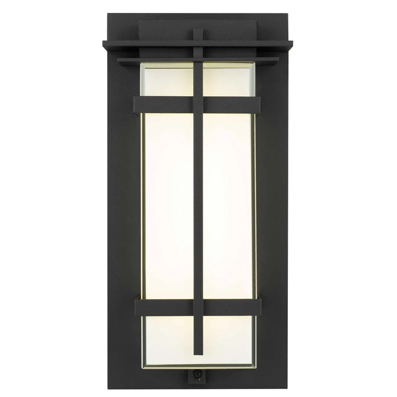 Black Colorful LED Dimmable Outdoor Hanging Light Homeroots Outdoor