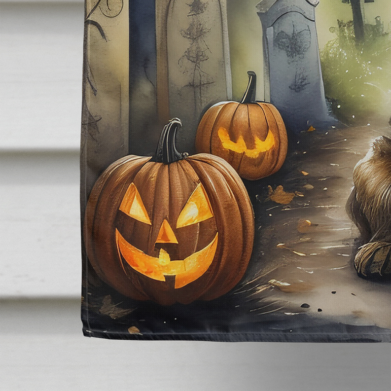 Border Terrier Spooky Halloween House Flag Caroline's Treasures