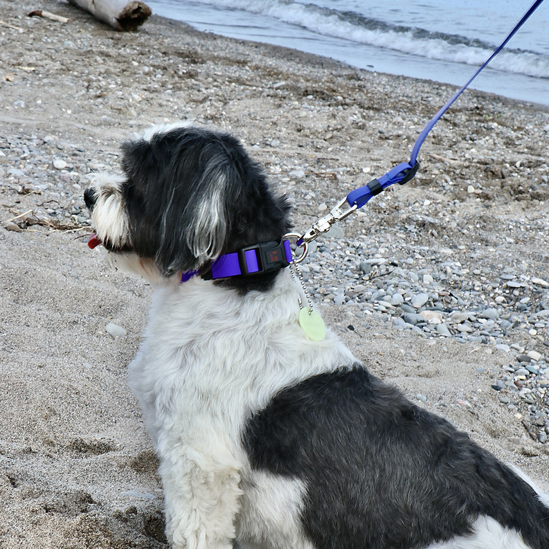 Boss Adjustable Leash Ultrahund
