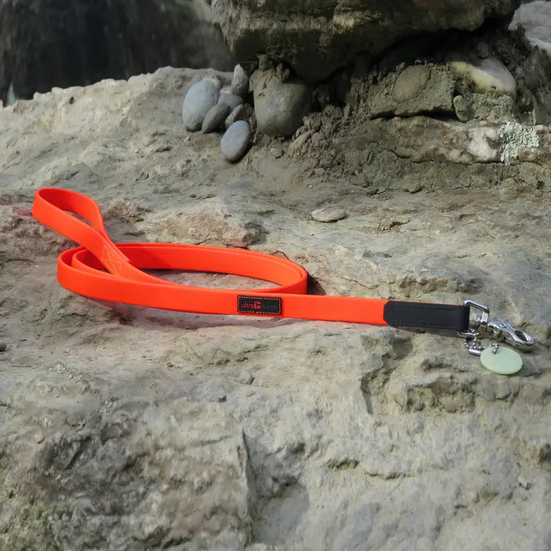 Boss Regular Leash Ultrahund