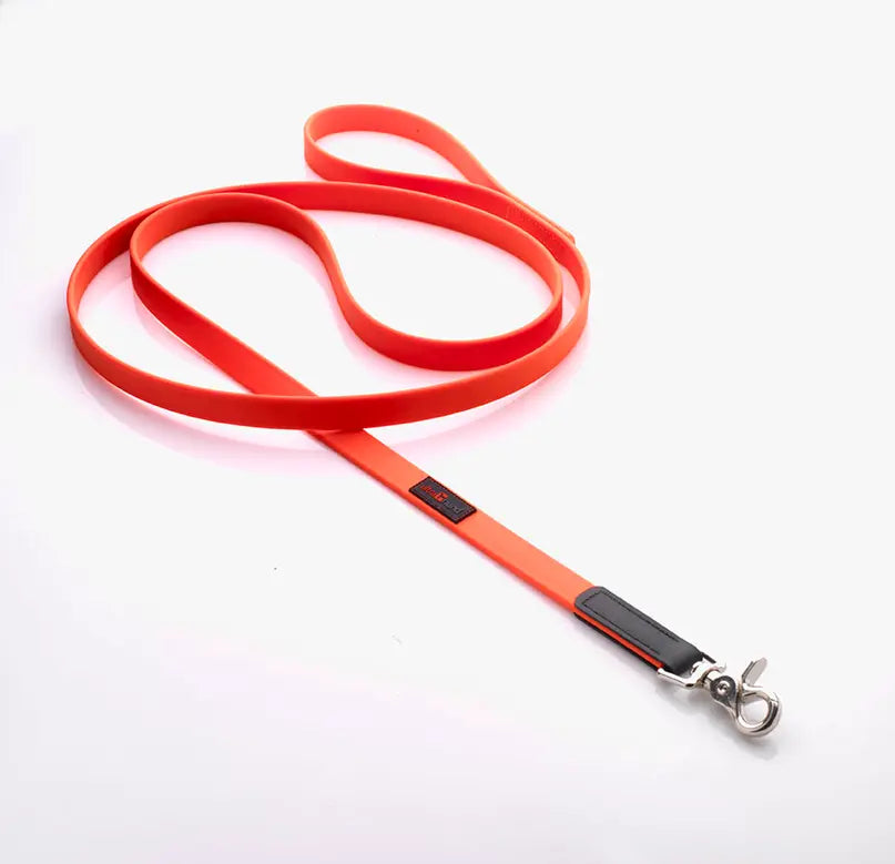 Boss Regular Leash Ultrahund