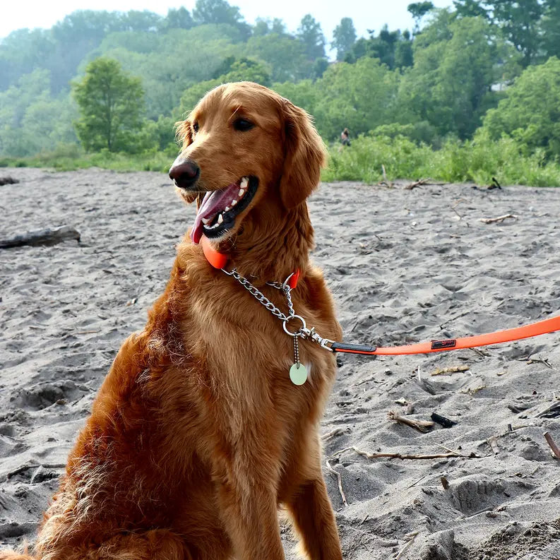 Boss Regular Leash Ultrahund