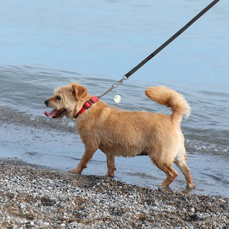 Boss Regular Leash Ultrahund