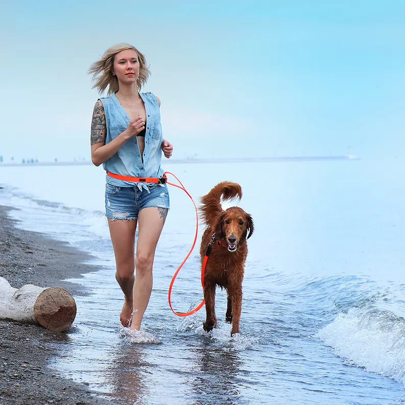 Boss Regular Leash Ultrahund