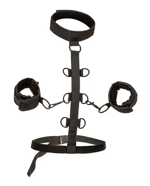 Boundless Collar Restraint California Exotic Novelties