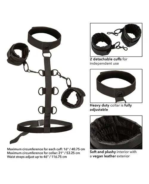 Boundless Collar Restraint California Exotic Novelties