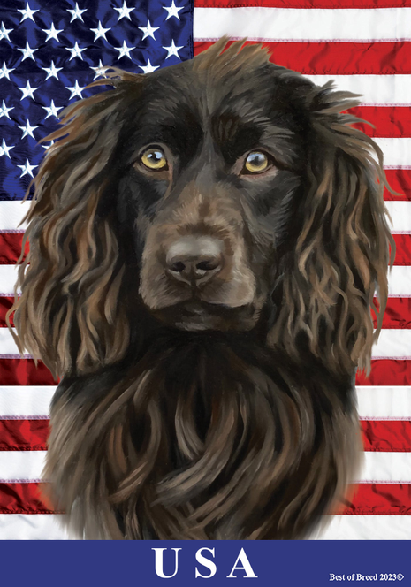 Boykin Spaniel - Best of Breed All-American II Outdoor Flag Best of Breed