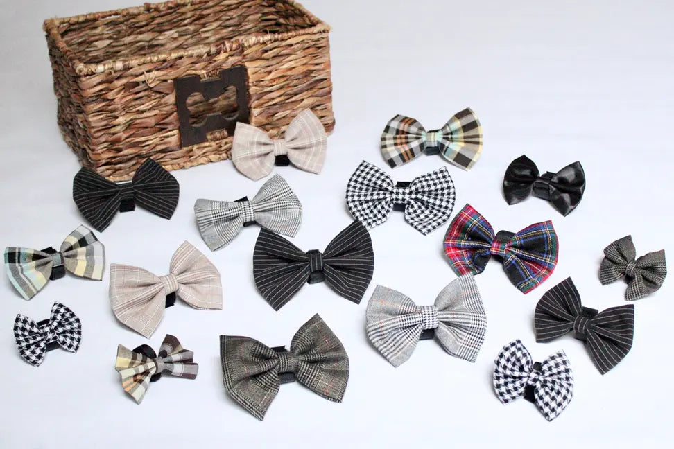 Boys Bowtie Budget Bundle|Pets Ribbons Pets Ribbons