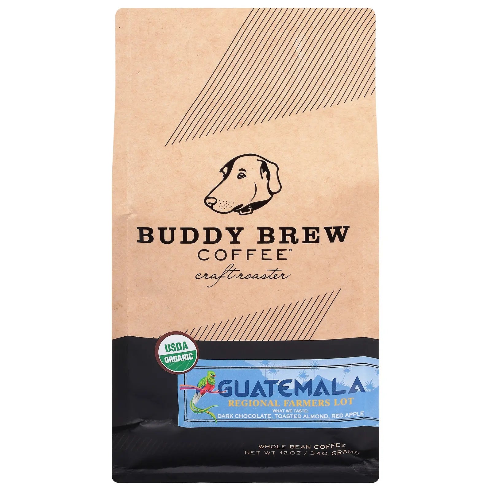 Buddy Brew - Coffee Whole Bean Guatemala - Case Of 6-12 Oz Buddy Brew
