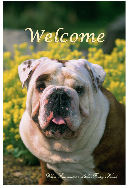 Bulldog - Best of Breed  Indoor/Outdoor Aluminum Sign Best of Breed