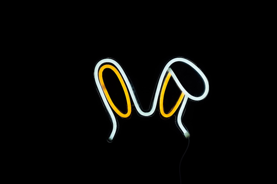 Bunny LED Neon Sign Cocus Pocus
