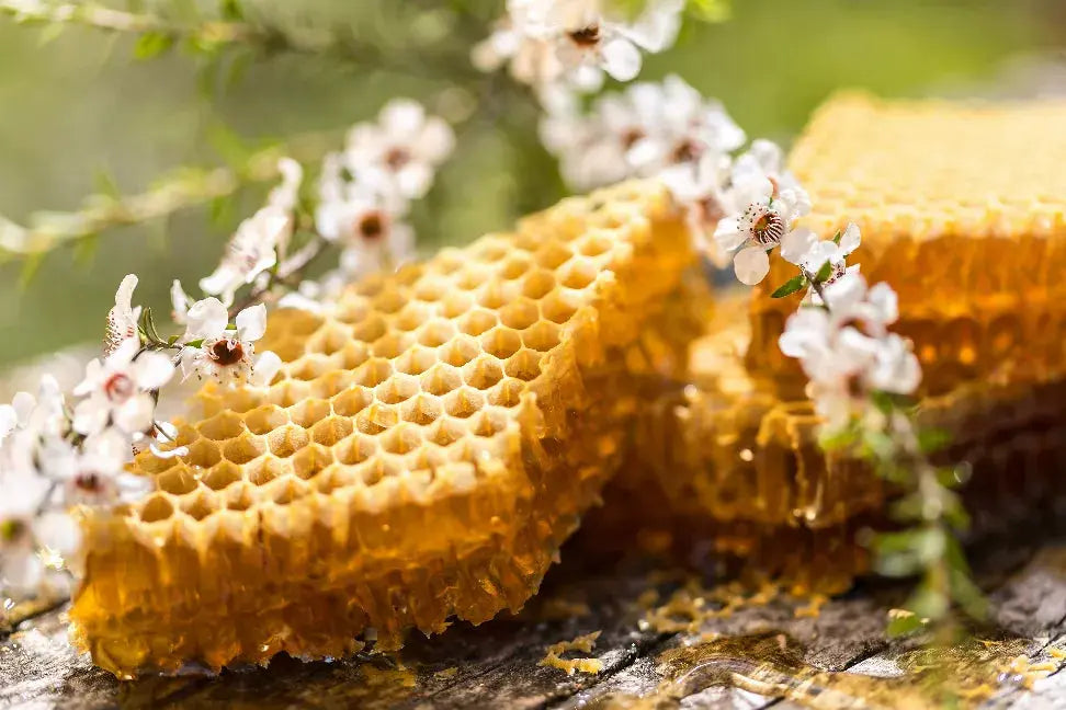 Bush Honey EzieBee
