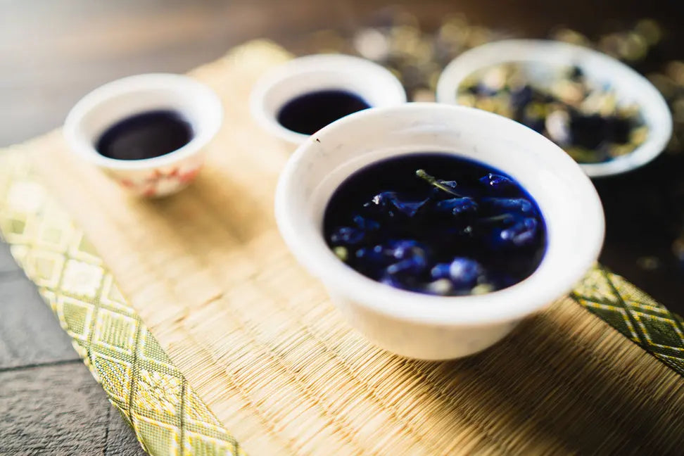 Butterfly Pea Flower Western Immortal