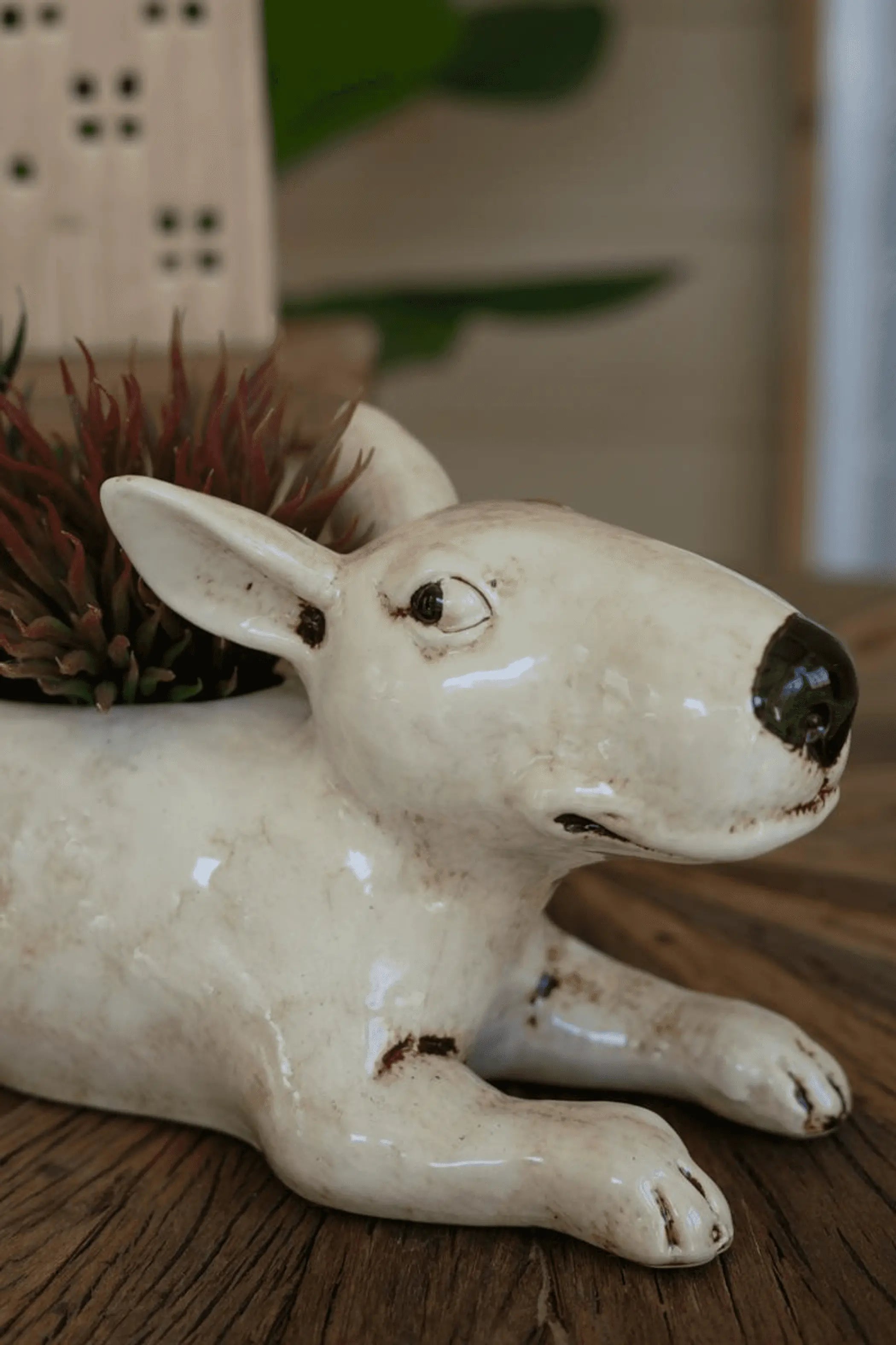 CERAMIC BULL TERRIER PLANTER Kalalou