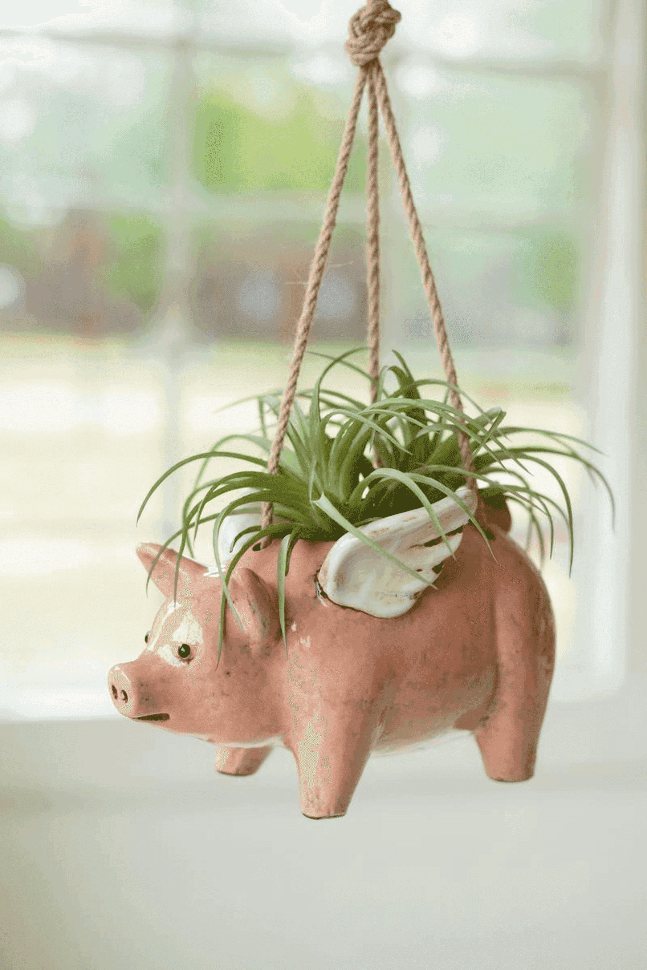 CERAMIC HANGING FLYING PIG PLANTER Kalalou