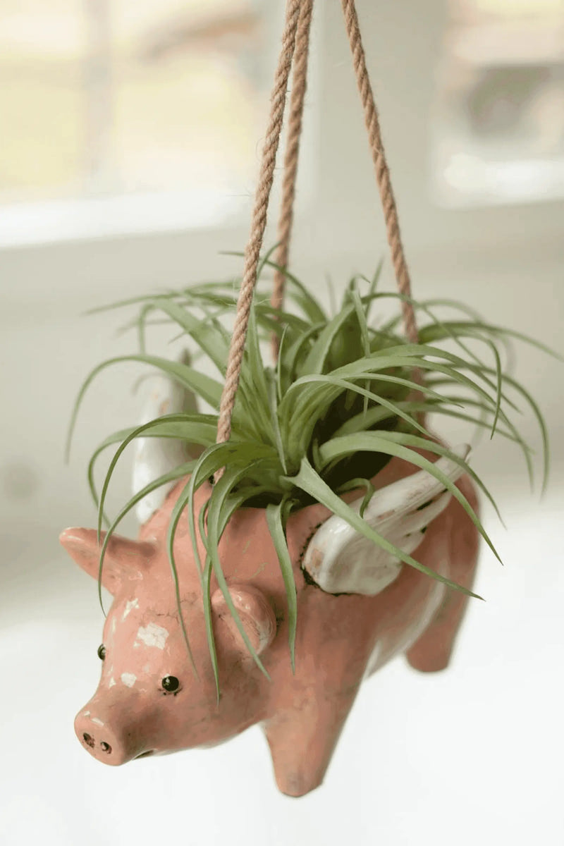 CERAMIC HANGING FLYING PIG PLANTER Kalalou