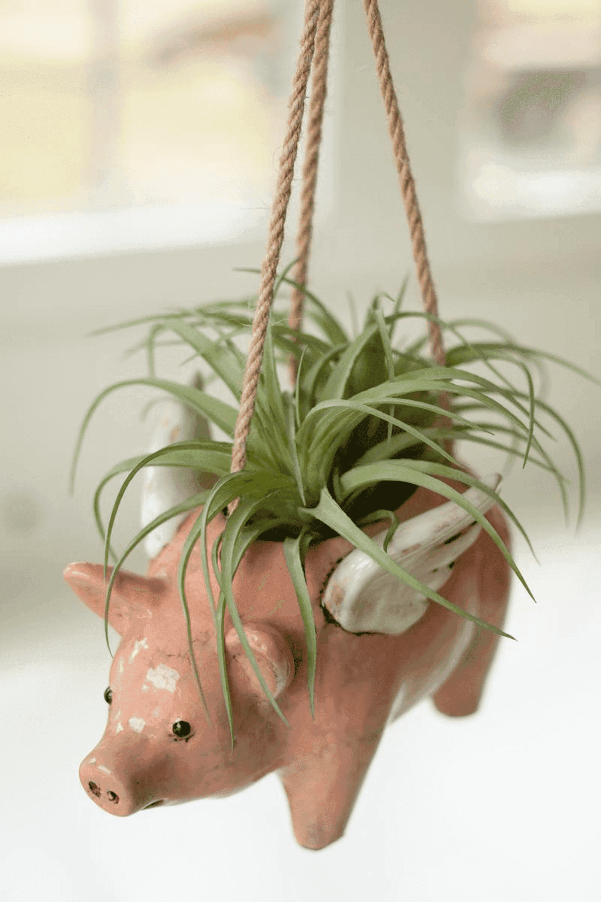 CERAMIC HANGING FLYING PIG PLANTER Kalalou
