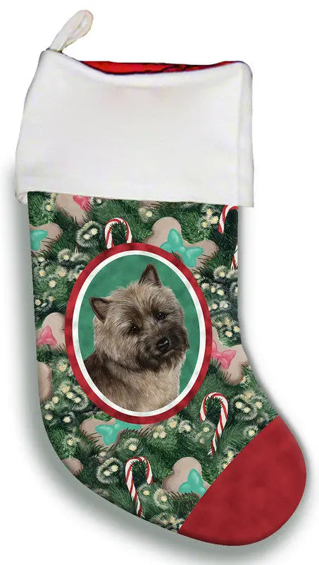Cairn Terrier Brindle - Best of Breed Christmas Stocking Best of Breed