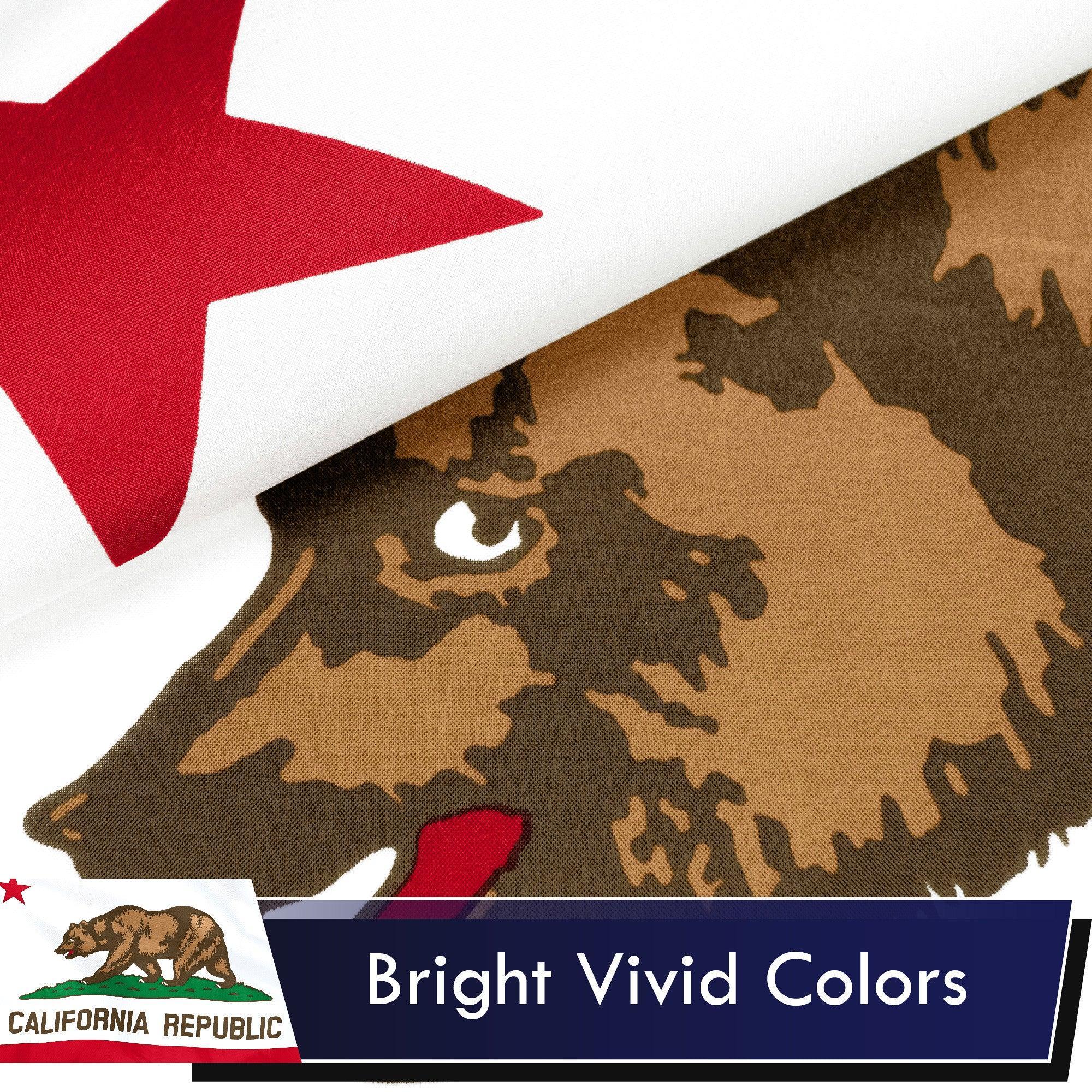 California CA State Flag 3x5 Ft 3-Pack Printed Polyester By G128 G128