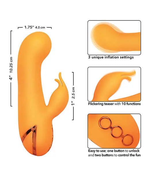 211090790