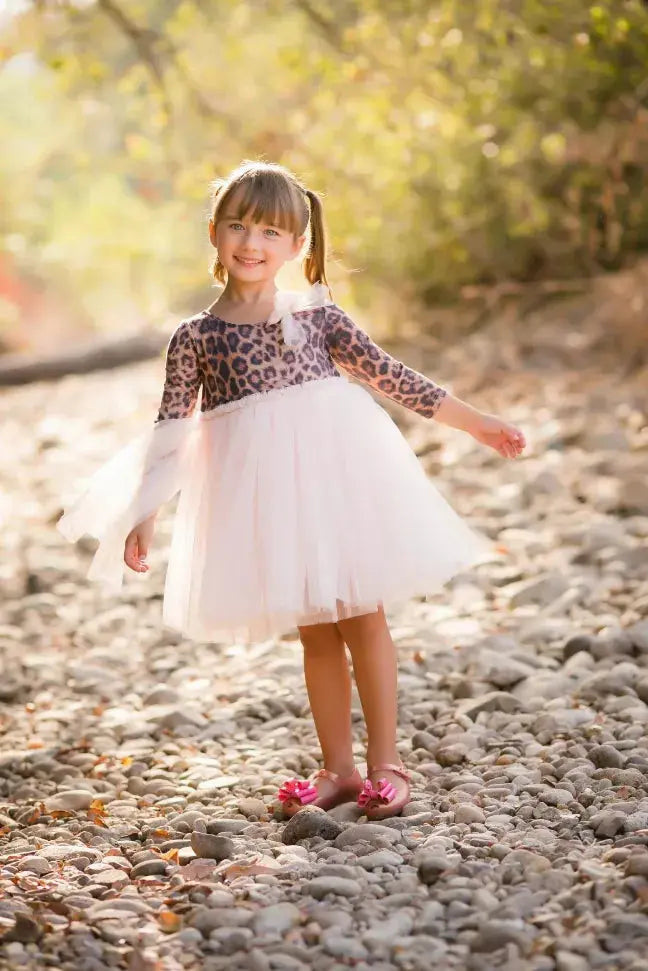 Cashmere Blush Tutu Dress Little Mass