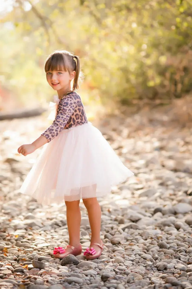 Cashmere Blush Tutu Dress Little Mass