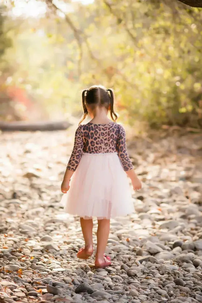 Cashmere Blush Tutu Dress Little Mass