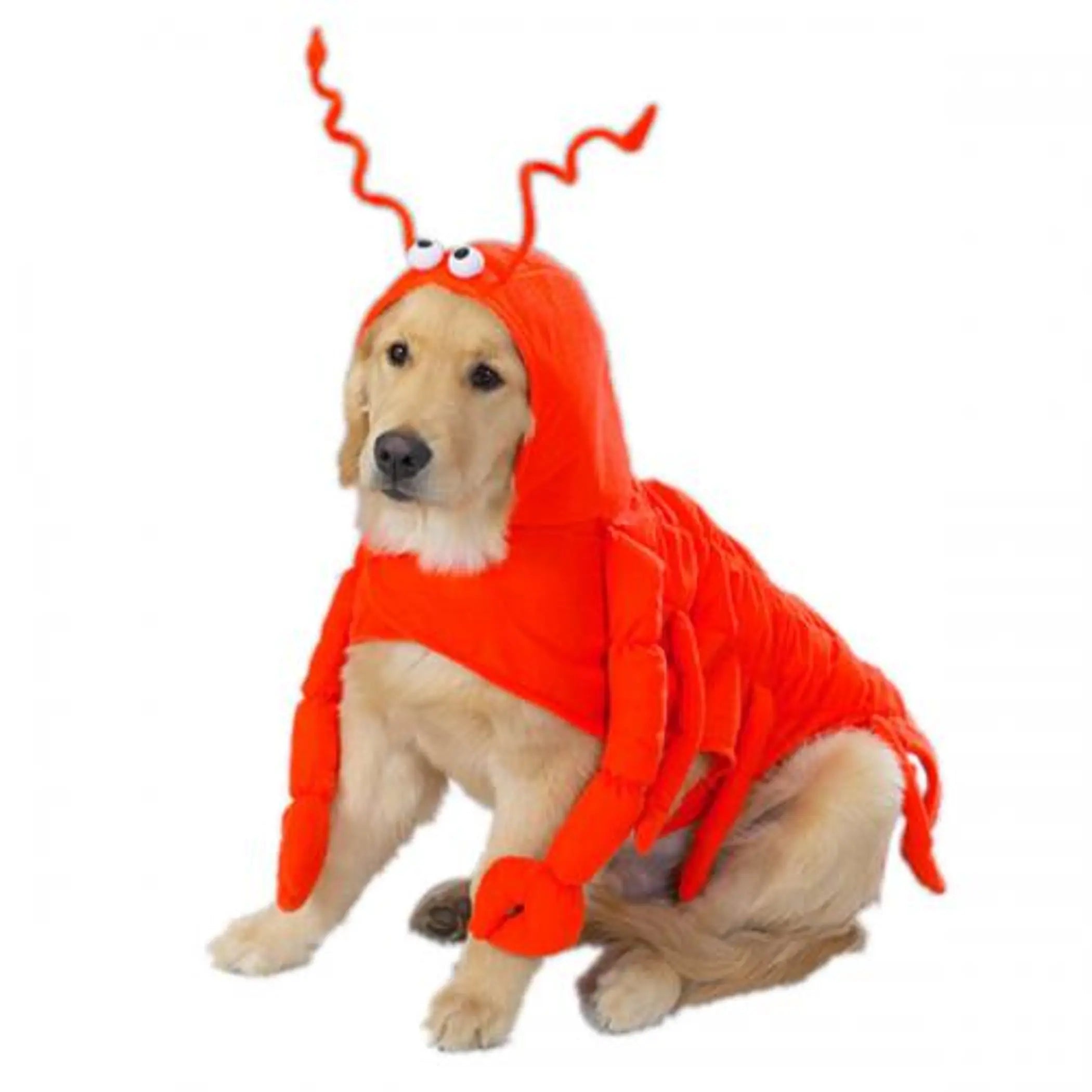 Casual Canine Lobster Paws Costume Casual Canine