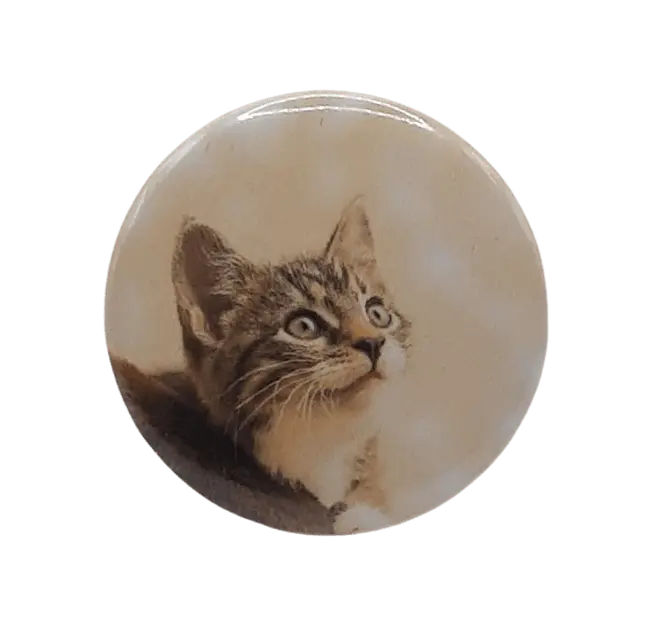 Cat Looking Up Bravo Buttons