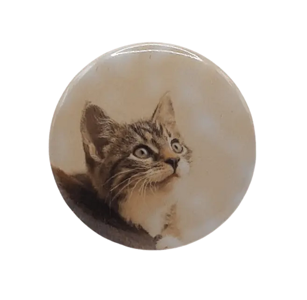 Cat Looking Up Bravo Buttons