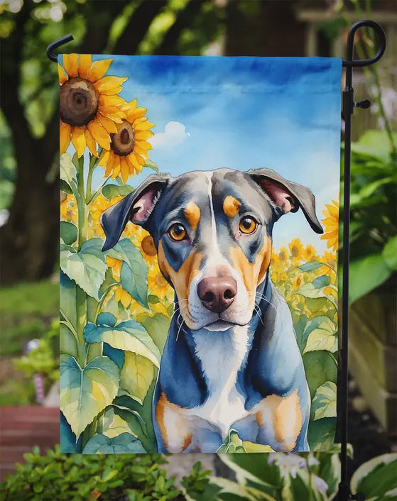 Catahoula in Sunflowers Garden Flag Caroline's Treasures