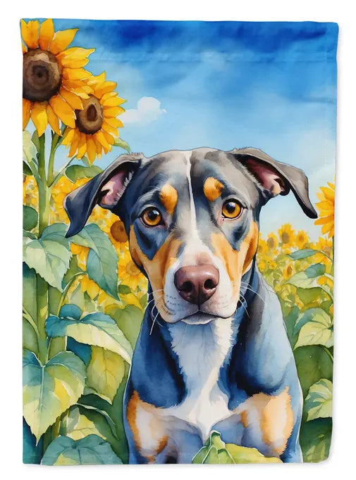 Catahoula in Sunflowers Garden Flag Caroline's Treasures