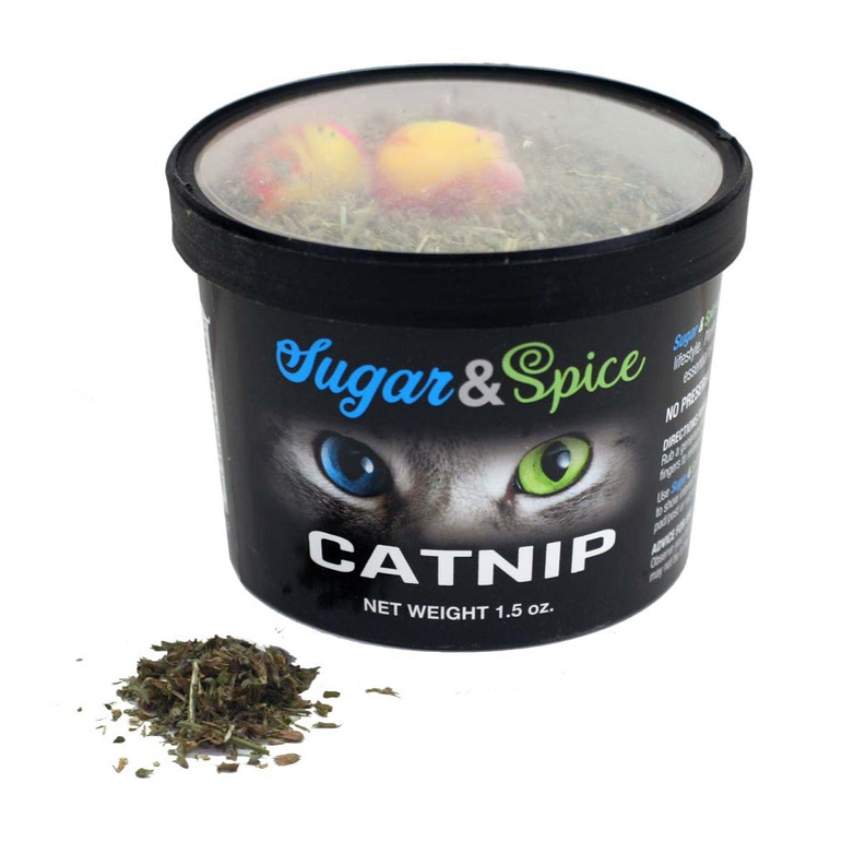 Catnip Container ChewMax Pet Products