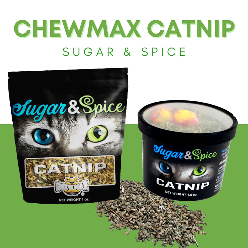 Catnip Container ChewMax Pet Products