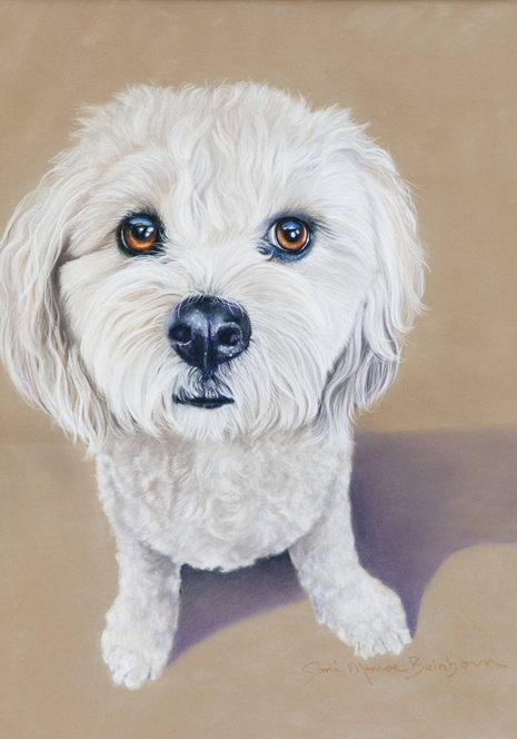 Cavachon - Joni Monroe Beinborn Portrait House and Garden Flag Best of Breed