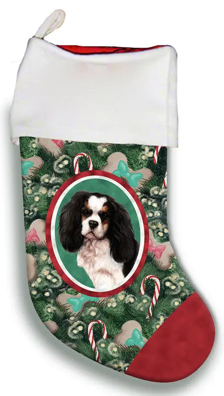 Cavalier King Charles Tri - Best of Breed Christmas Stocking Best of Breed
