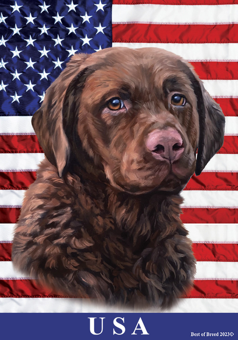 Chesapeake Bay Retriever - Best of Breed All-American II Outdoor Flag Best of Breed