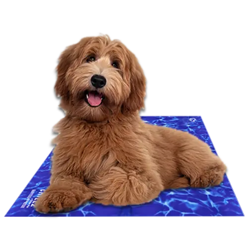 Chillz Gel Mat Medium Wave The Green Pet Shop