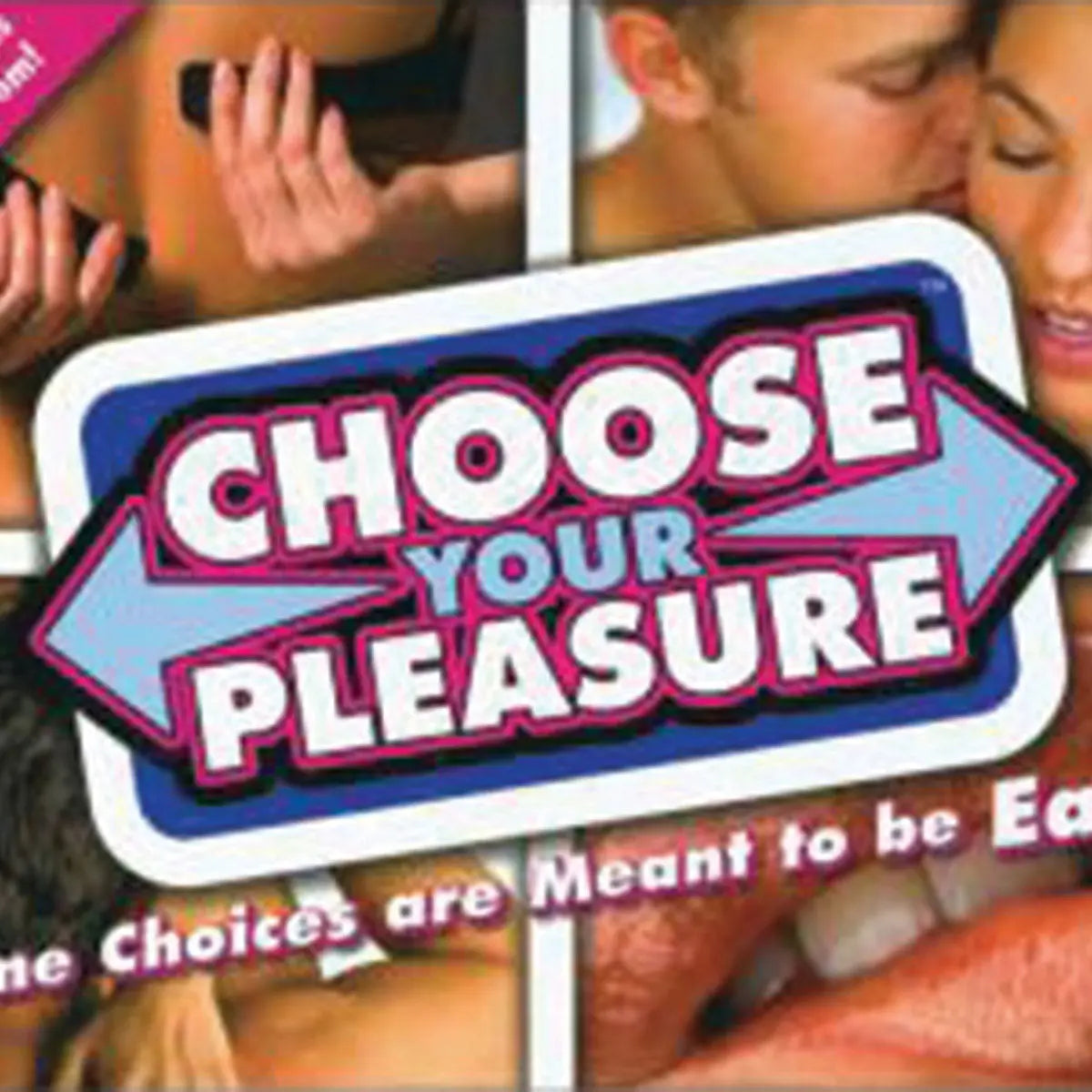 Choose Your Pleasure Game - GreatEagleInc