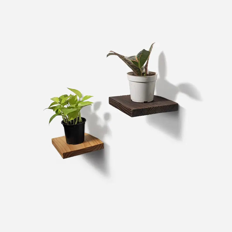 Chopped plant shelf Formr
