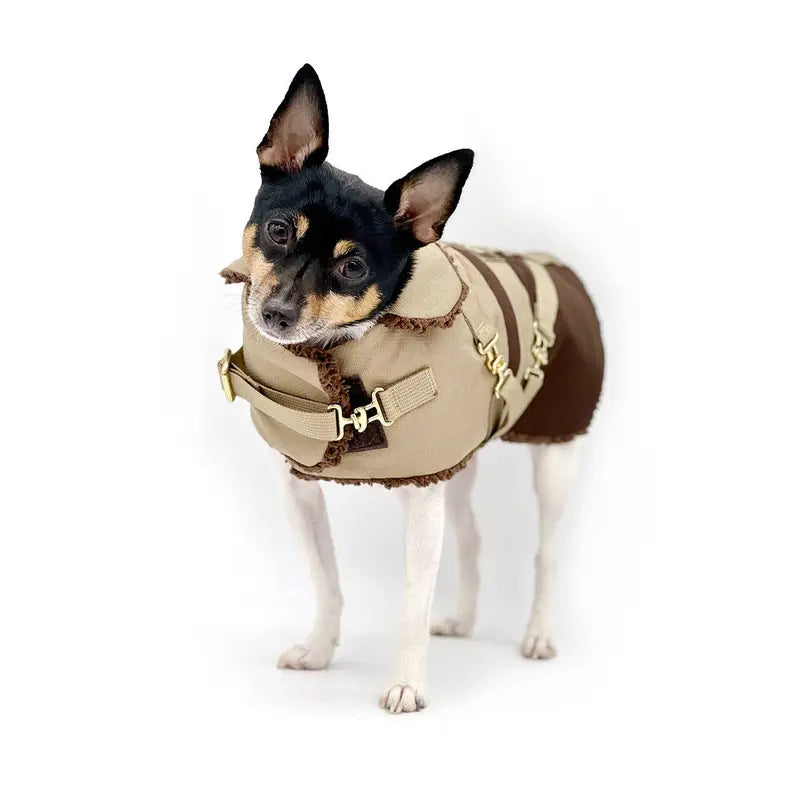 "Classic Mocha Latte" - DCNY Equestrian Collection DoggieCoutureNY