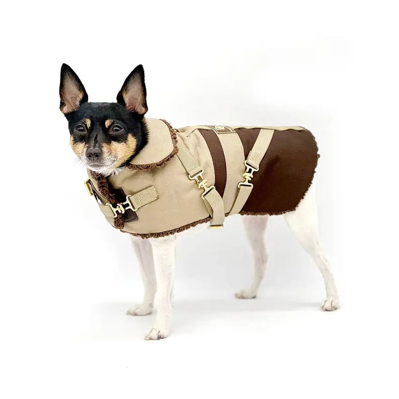 "Classic Mocha Latte" - DCNY Equestrian Collection DoggieCoutureNY