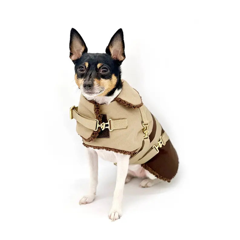 "Classic Mocha Latte" - DCNY Equestrian Collection DoggieCoutureNY