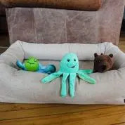 Clean Earth Plush Toy Spunky Pup Dog Toys