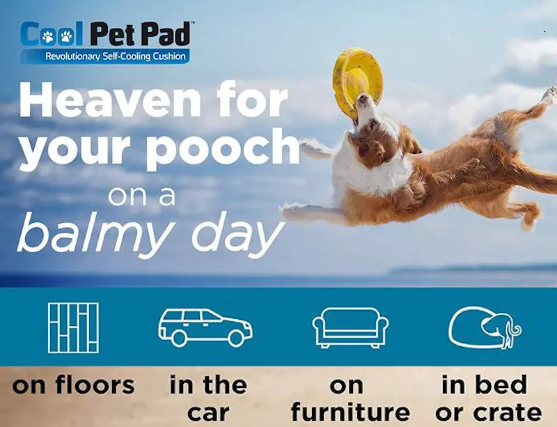 Cool Pet Pad The Green Pet Shop