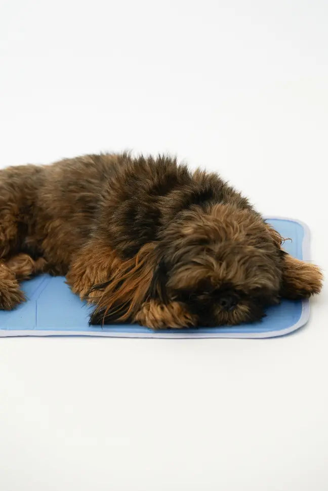 Cool Pet Pad The Green Pet Shop
