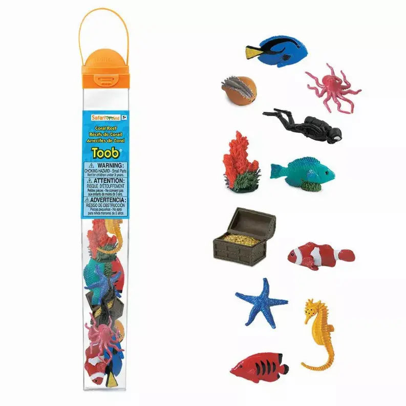 Coral Reef Safari LTD
